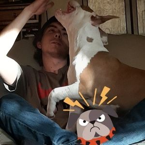 Meet your Posher, Cassie